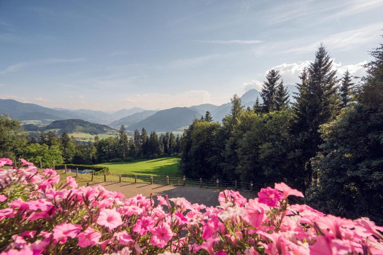 Familienbauernhof Samerhof Pfarrwerfen Esterno foto