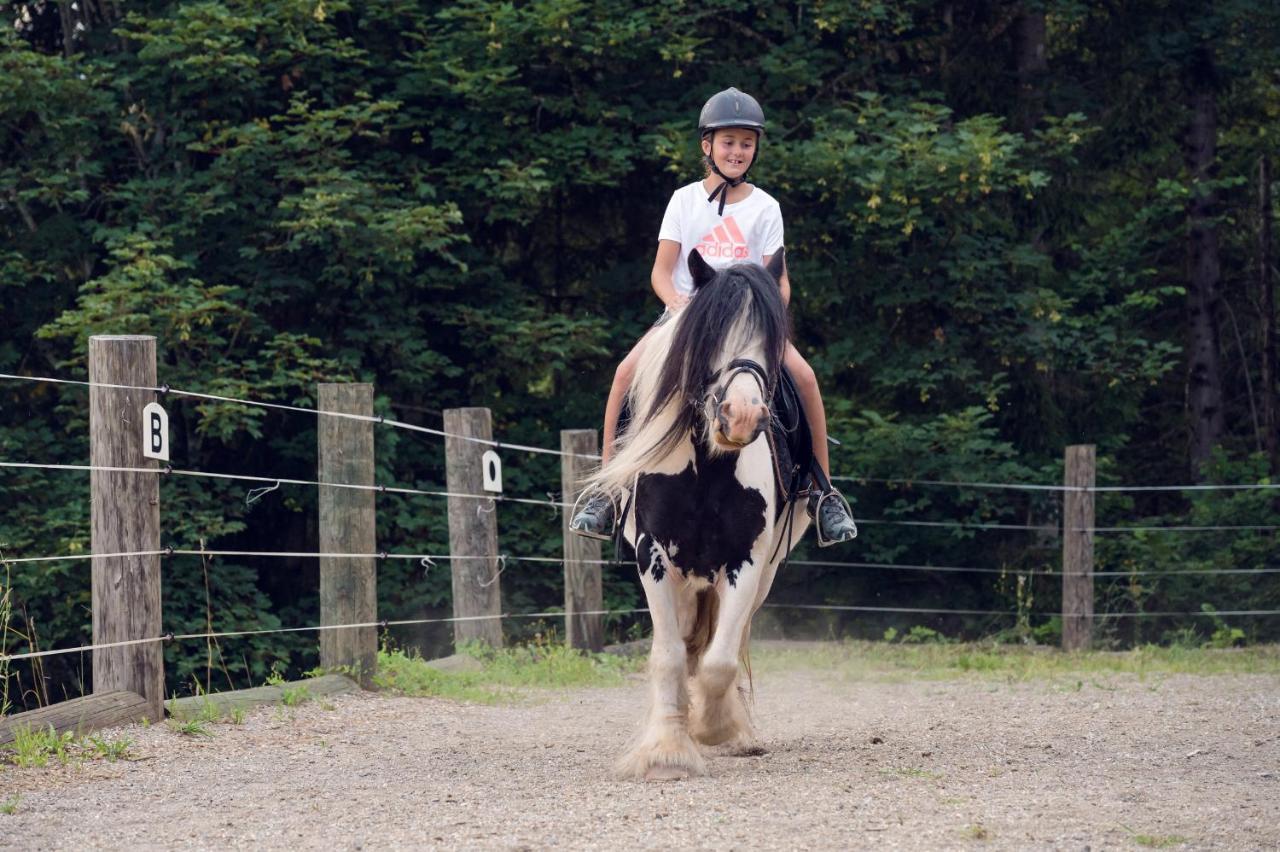 Familienbauernhof Samerhof Pfarrwerfen Esterno foto