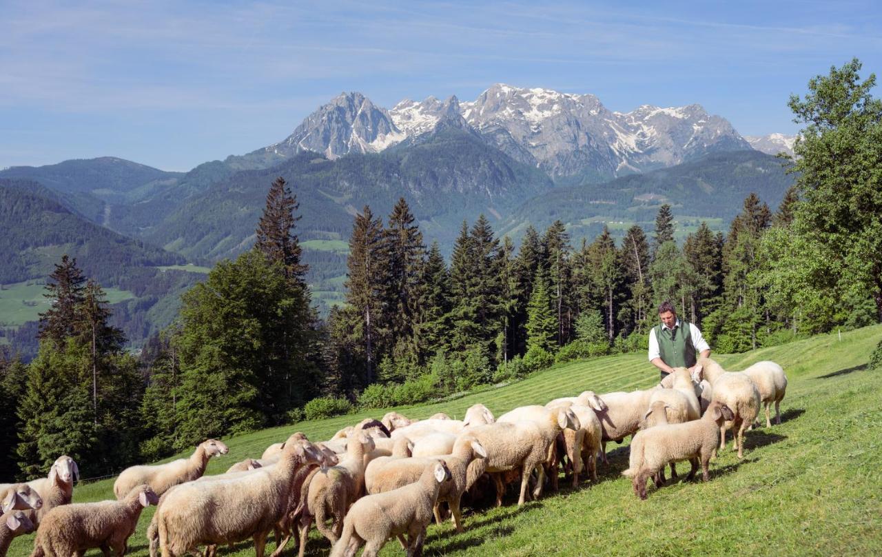 Familienbauernhof Samerhof Pfarrwerfen Esterno foto