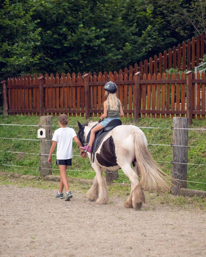 Familienbauernhof Samerhof Pfarrwerfen Esterno foto