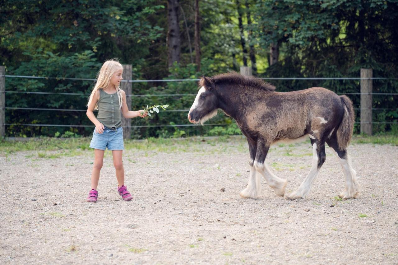 Familienbauernhof Samerhof Pfarrwerfen Esterno foto