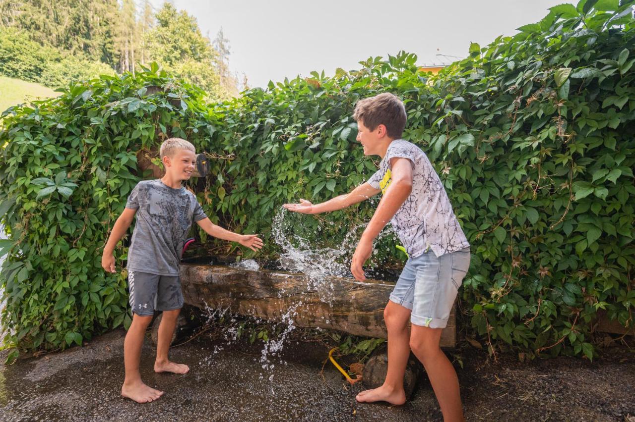 Familienbauernhof Samerhof Pfarrwerfen Esterno foto