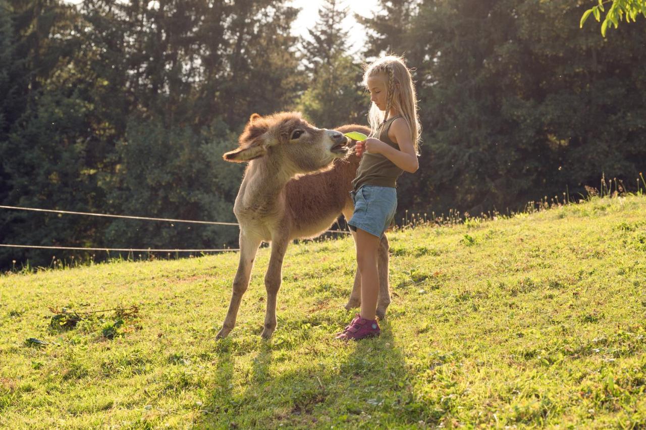 Familienbauernhof Samerhof Pfarrwerfen Esterno foto