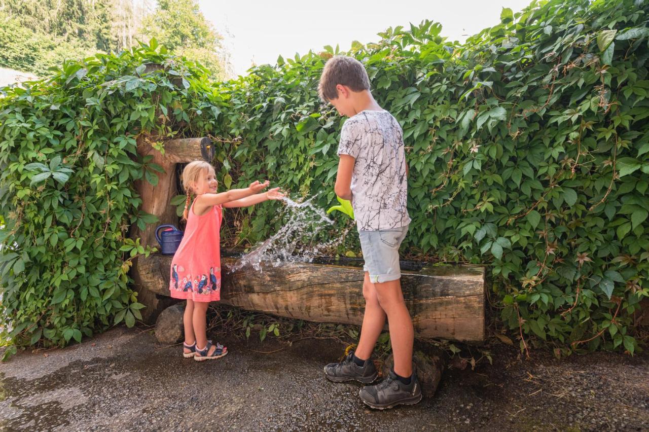 Familienbauernhof Samerhof Pfarrwerfen Esterno foto