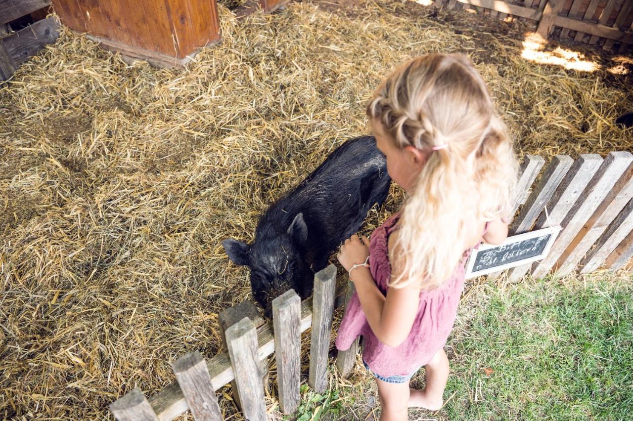 Familienbauernhof Samerhof Pfarrwerfen Esterno foto