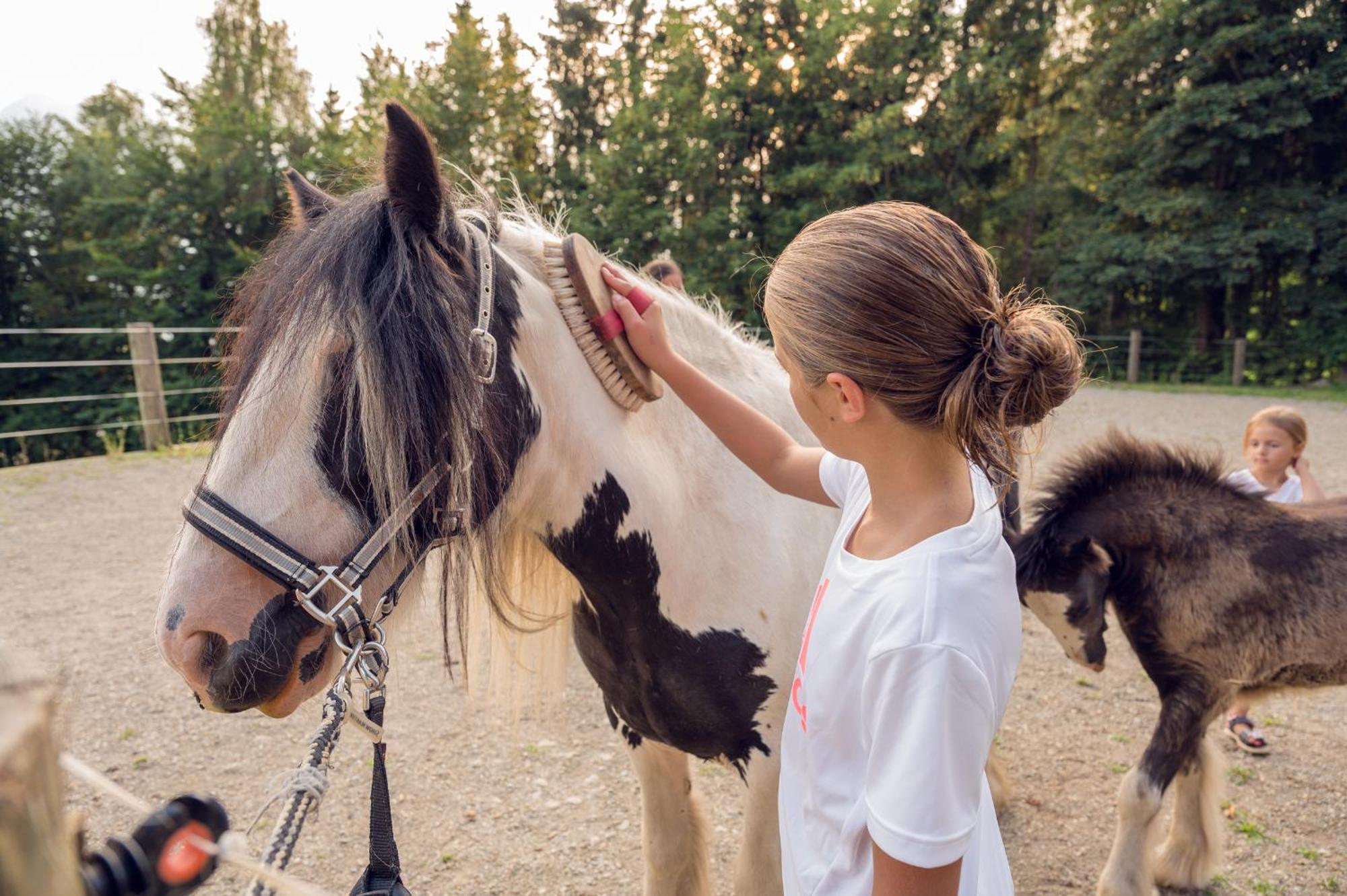 Familienbauernhof Samerhof Pfarrwerfen Esterno foto