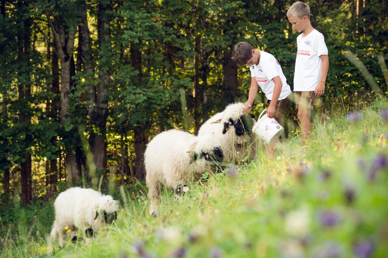 Familienbauernhof Samerhof Pfarrwerfen Esterno foto