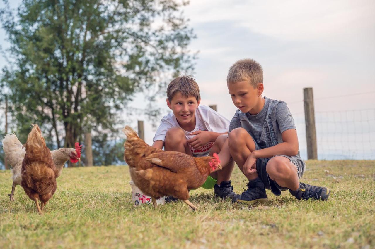 Familienbauernhof Samerhof Pfarrwerfen Esterno foto