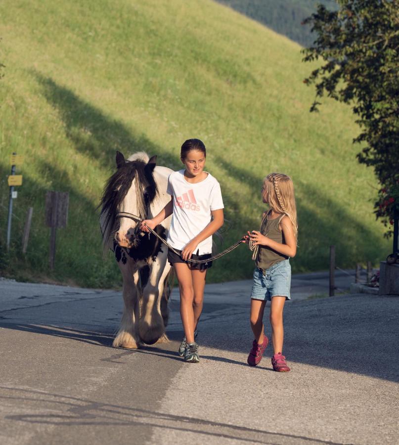 Familienbauernhof Samerhof Pfarrwerfen Esterno foto