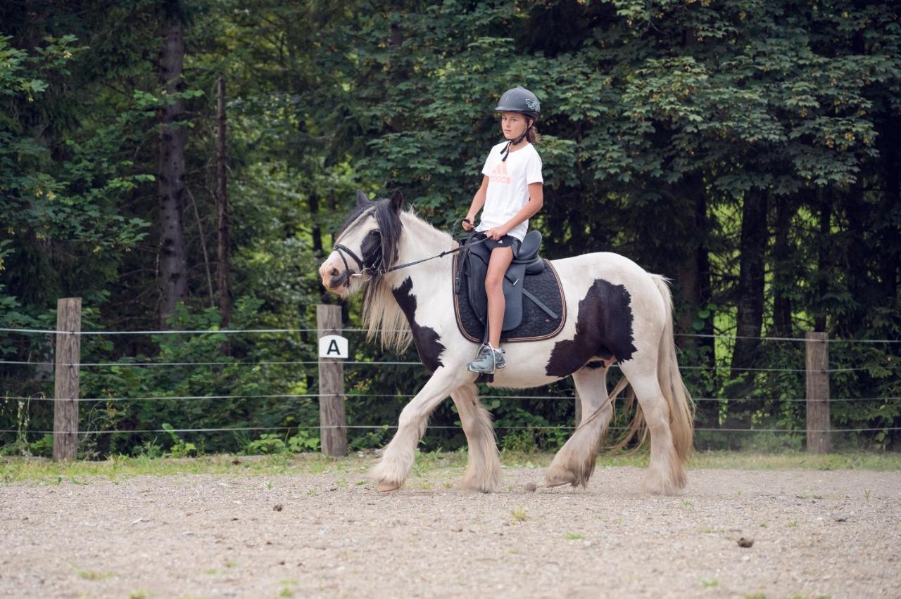 Familienbauernhof Samerhof Pfarrwerfen Esterno foto