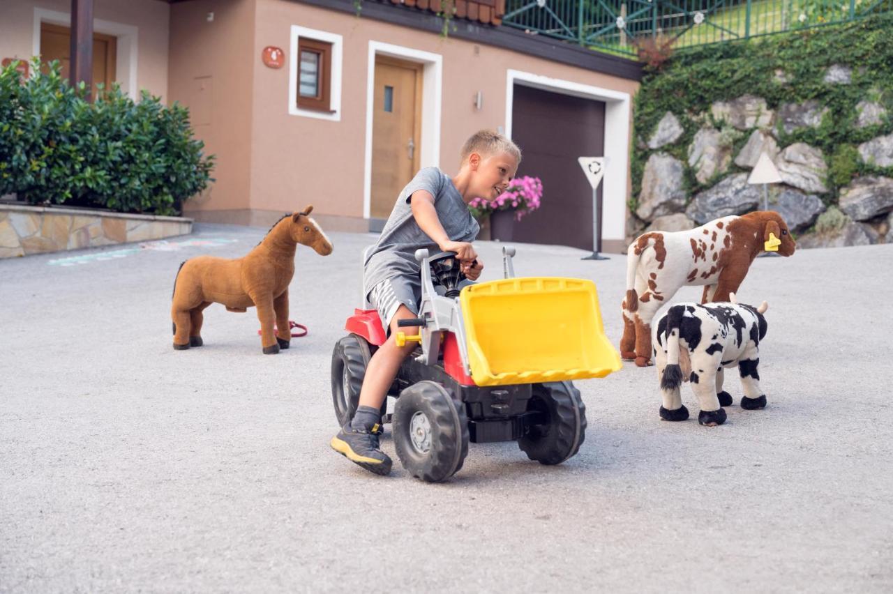 Familienbauernhof Samerhof Pfarrwerfen Esterno foto