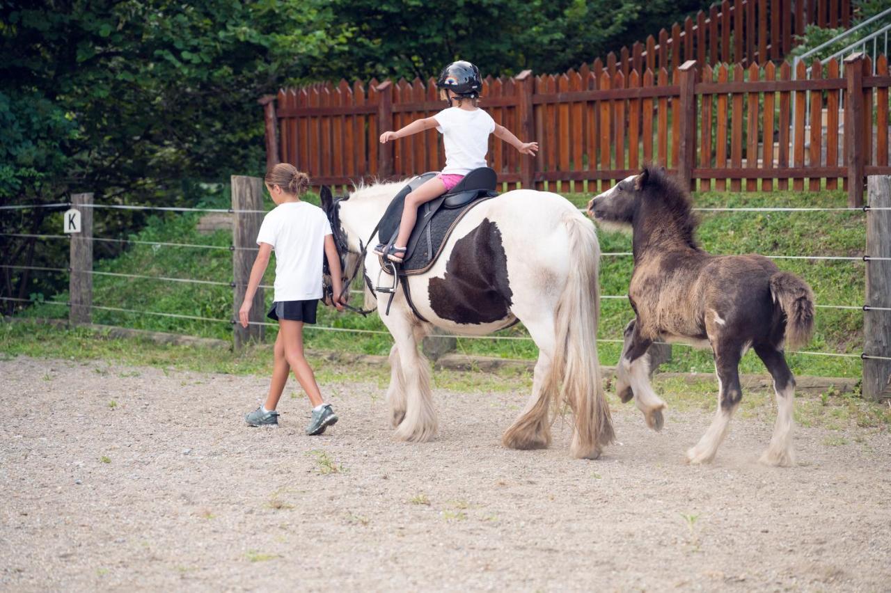 Familienbauernhof Samerhof Pfarrwerfen Esterno foto