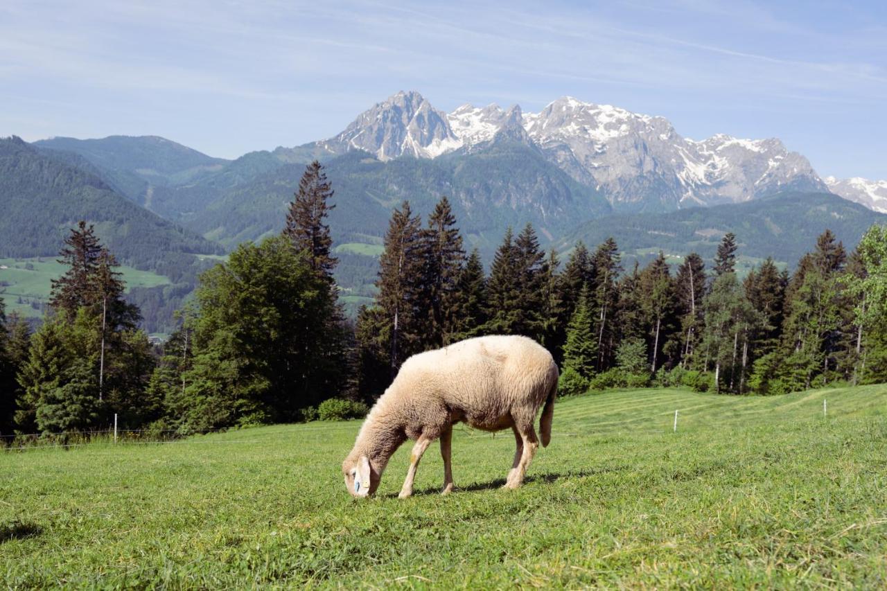 Familienbauernhof Samerhof Pfarrwerfen Esterno foto