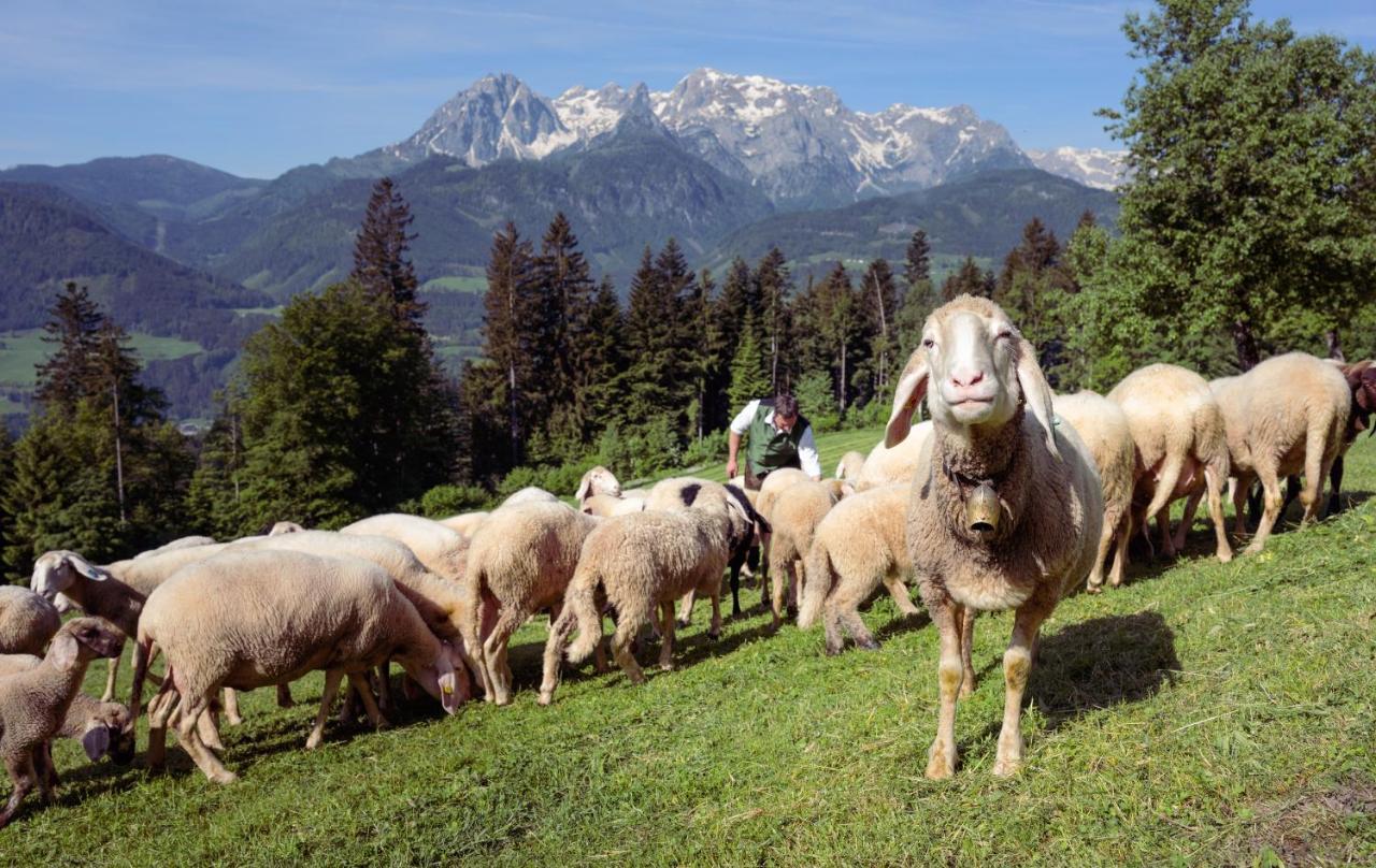 Familienbauernhof Samerhof Pfarrwerfen Esterno foto