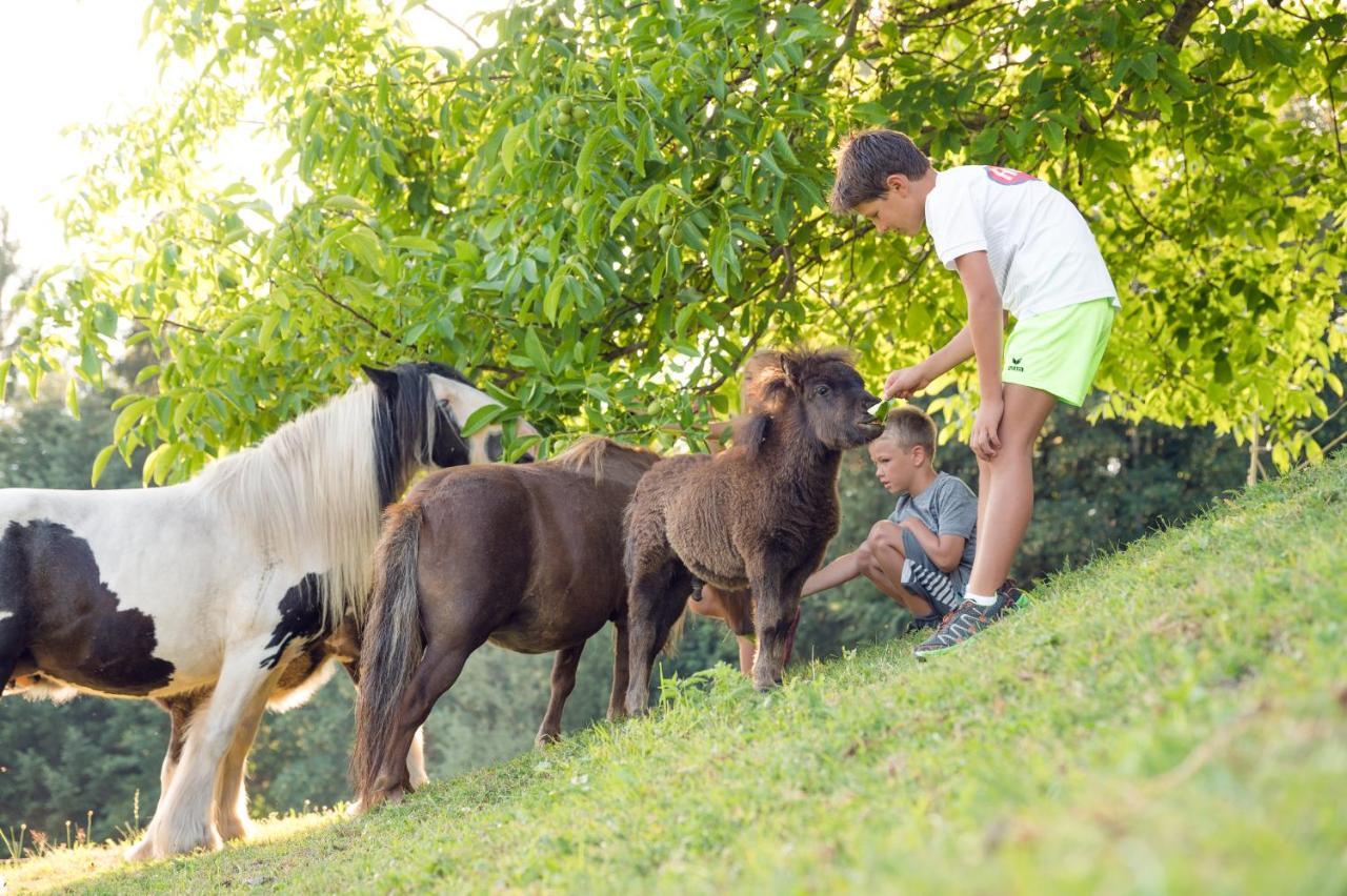 Familienbauernhof Samerhof Pfarrwerfen Esterno foto