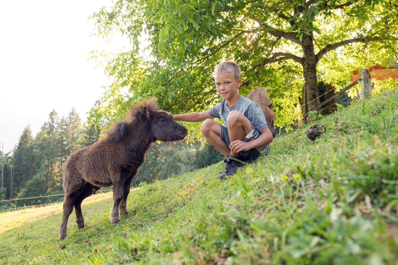 Familienbauernhof Samerhof Pfarrwerfen Esterno foto