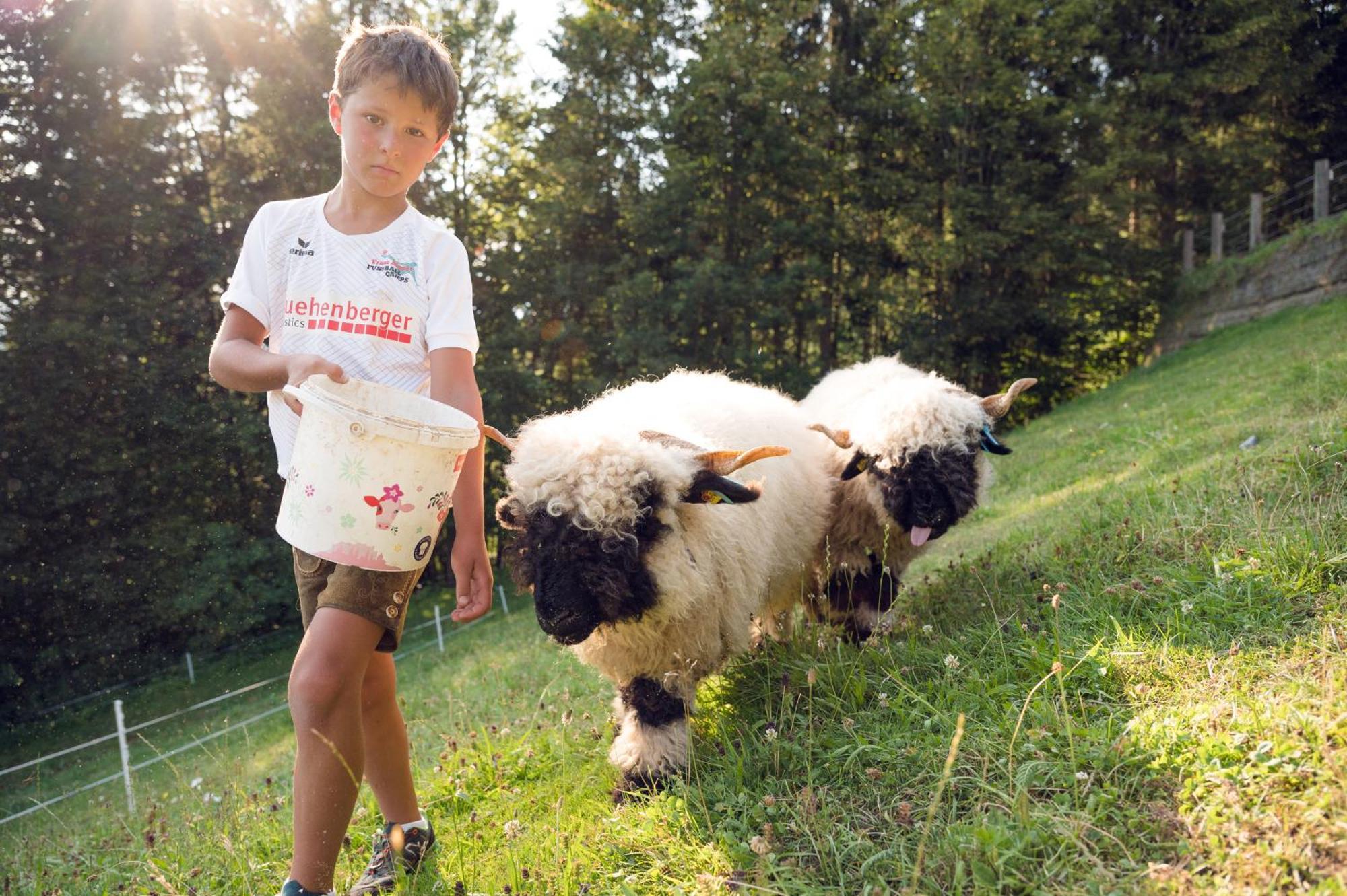 Familienbauernhof Samerhof Pfarrwerfen Esterno foto