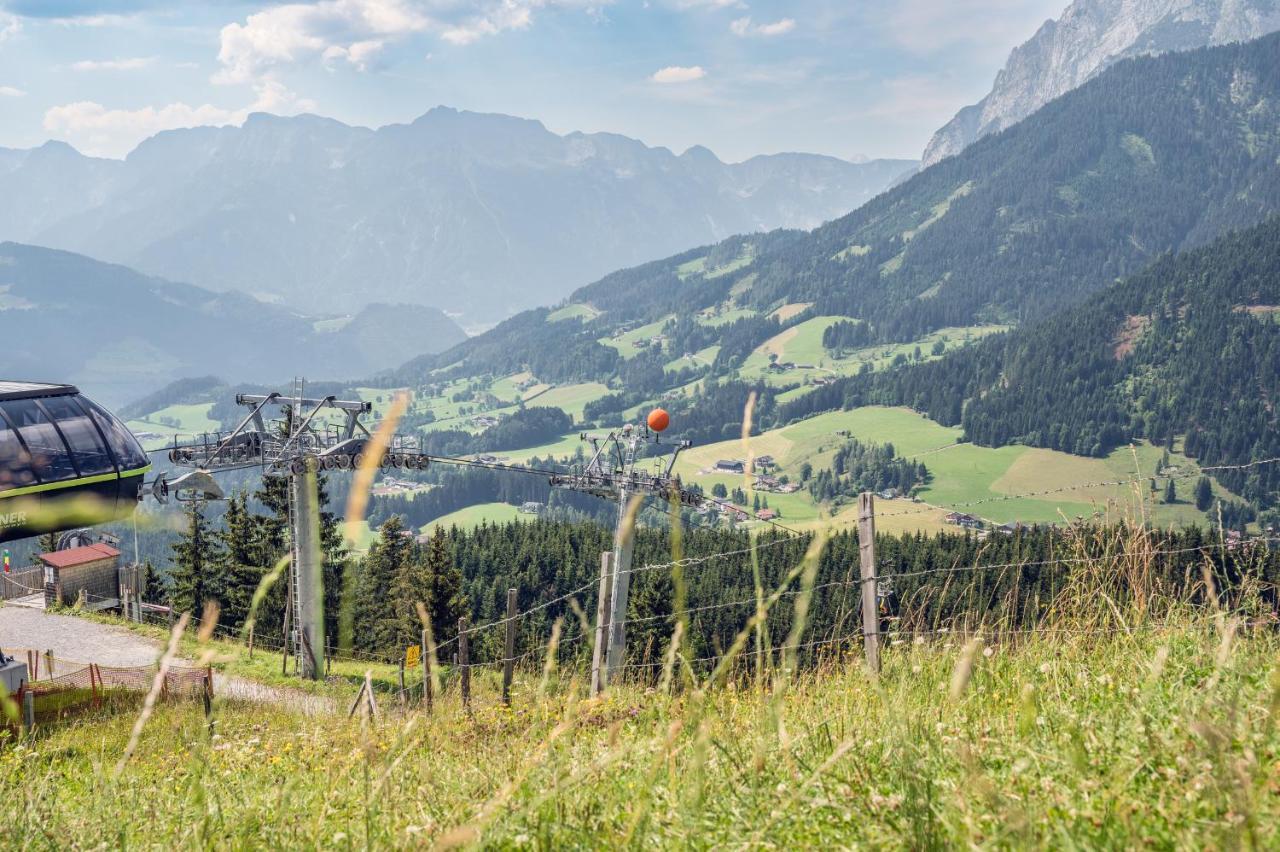 Familienbauernhof Samerhof Pfarrwerfen Esterno foto