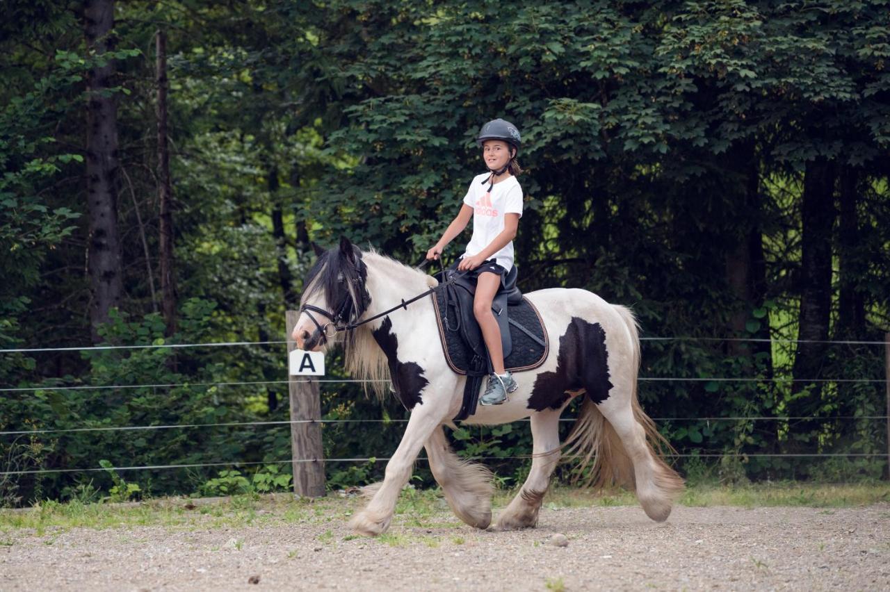 Familienbauernhof Samerhof Pfarrwerfen Esterno foto