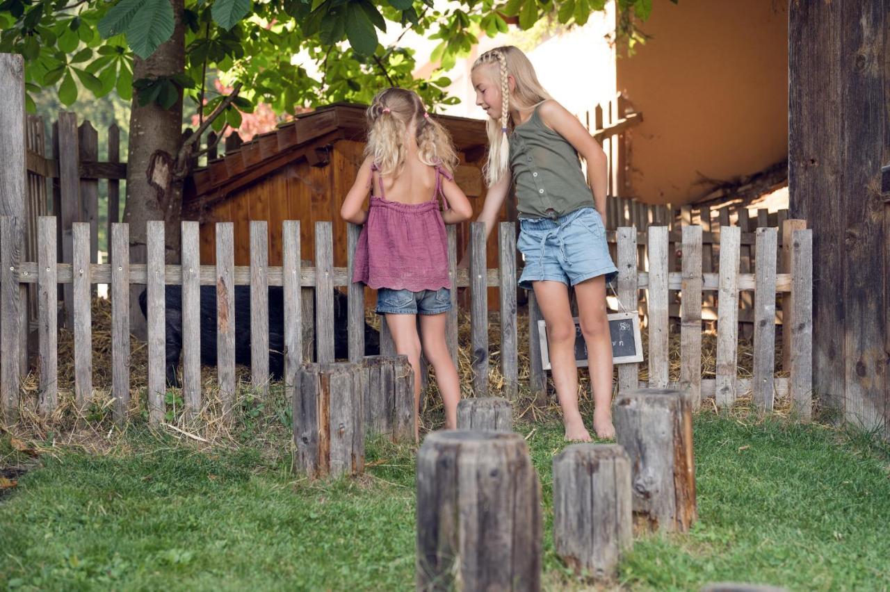 Familienbauernhof Samerhof Pfarrwerfen Esterno foto