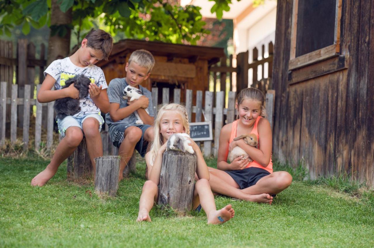 Familienbauernhof Samerhof Pfarrwerfen Esterno foto