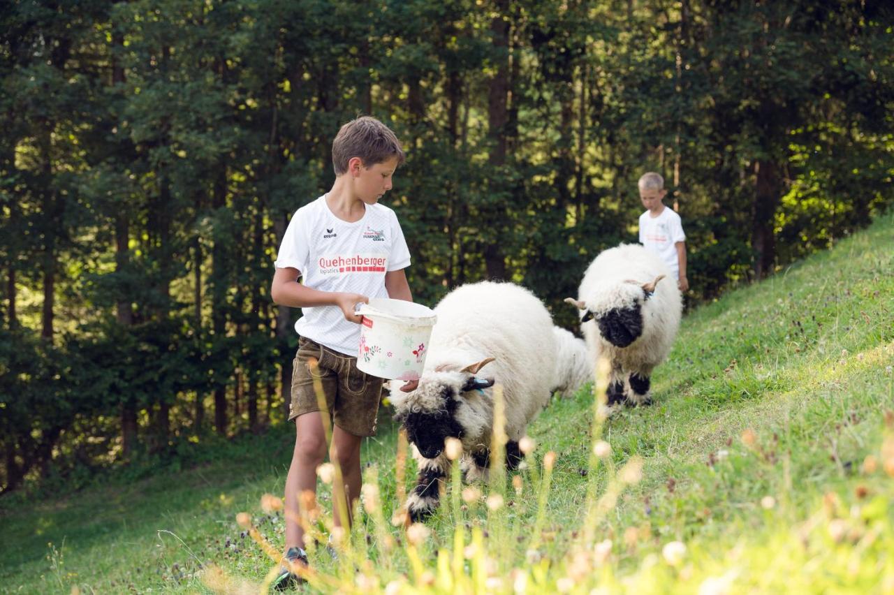 Familienbauernhof Samerhof Pfarrwerfen Esterno foto