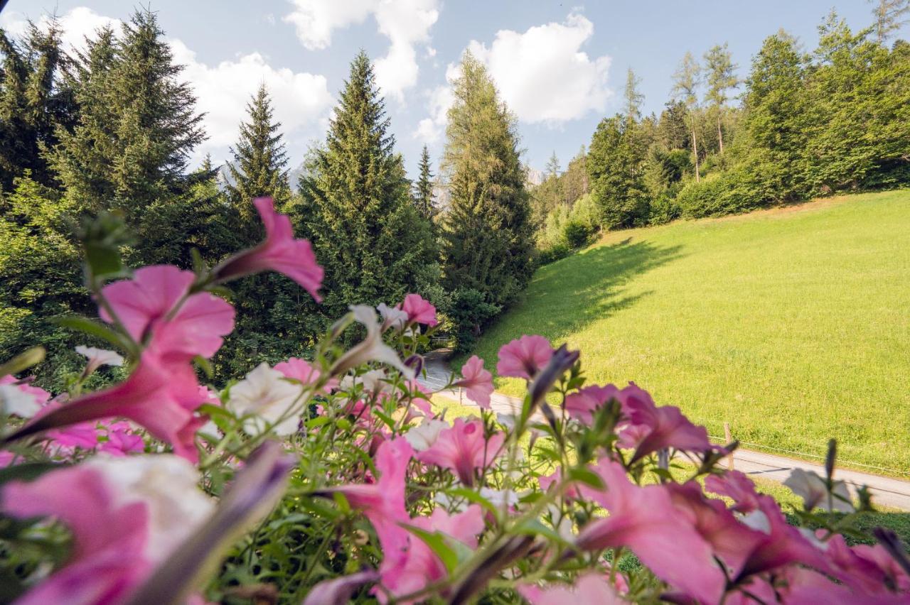 Familienbauernhof Samerhof Pfarrwerfen Esterno foto