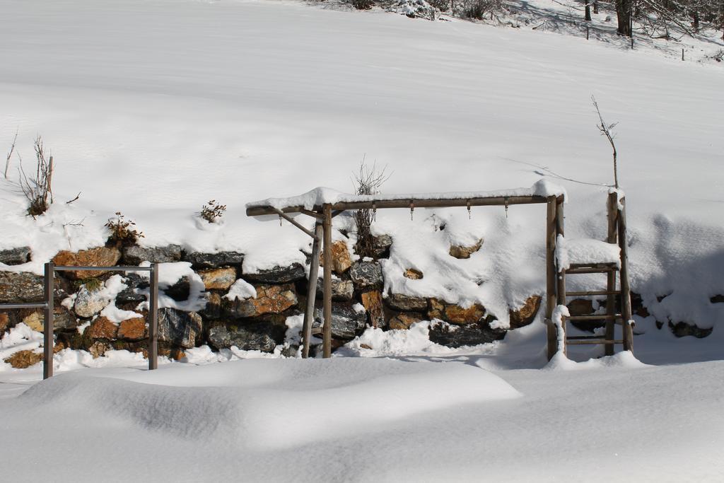 Familienbauernhof Samerhof Pfarrwerfen Esterno foto